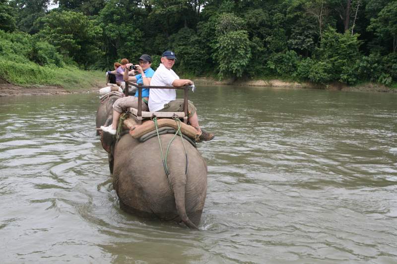 India & Nepal 2011 - 0556